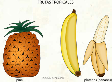 Frutas tropicales